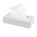 [FCL-00019] Facial Plano 2Ply Waves